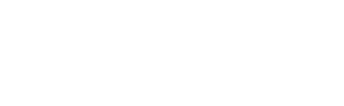 Pegas Express